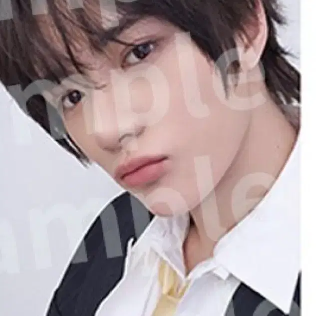 세츠나하나비 라쿠텐 범규 현물