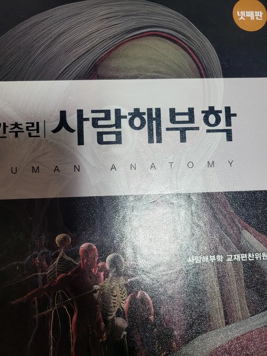 간추린 사람해부학