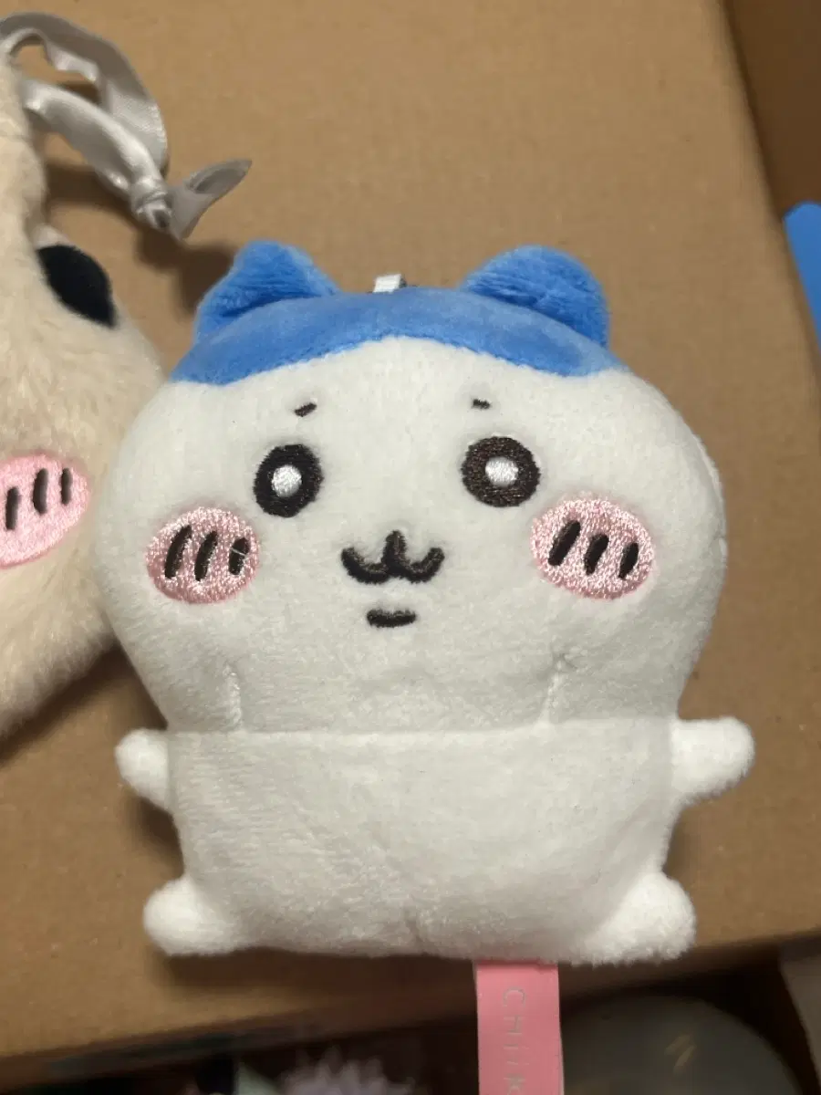 하치와레 콩눈 콩알 인형 키링
