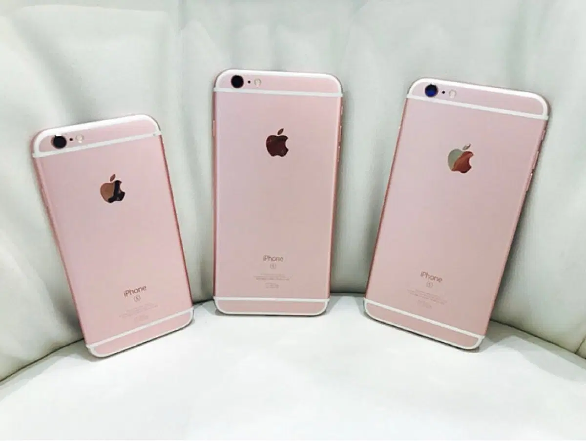 아이폰 6s 로즈골드 대여 (8,9월)