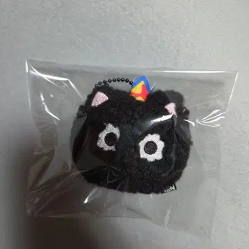 TEN 텐 카눌레 키링