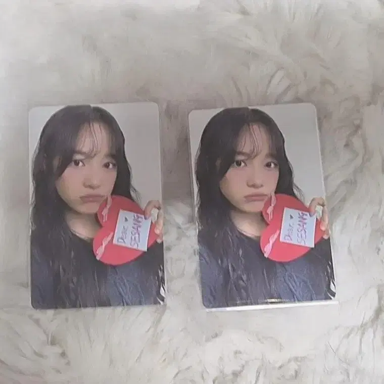 김세정 팬콘