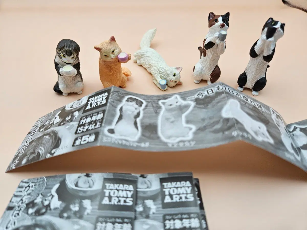 고양이 피규어 5종 세트