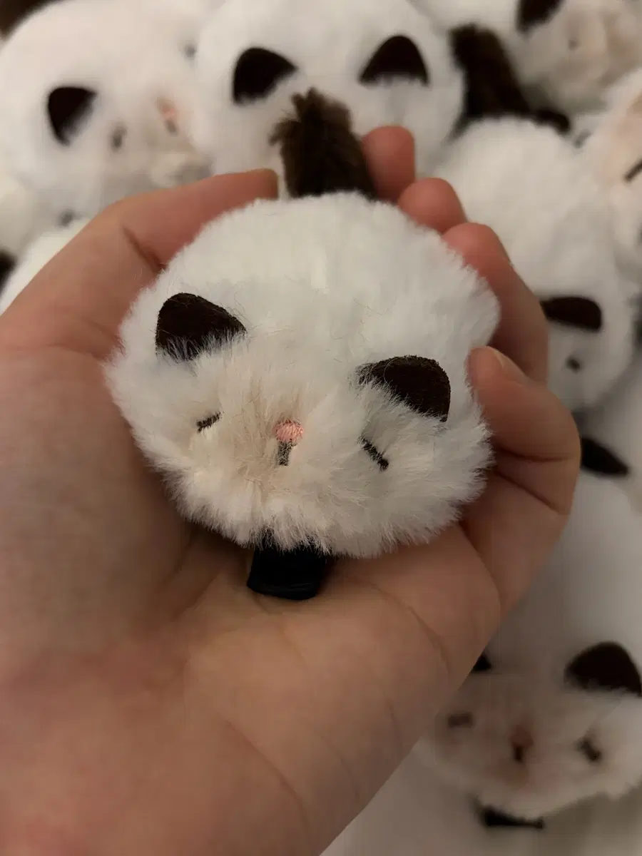 고양이 머리핀