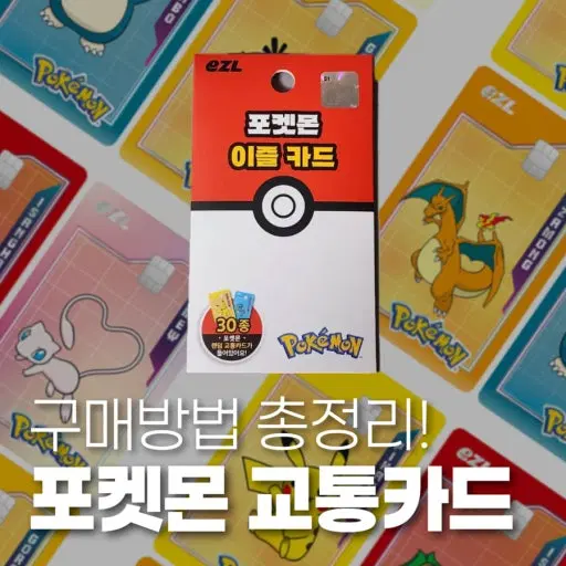 포켓몬스터 이즐 교통카드