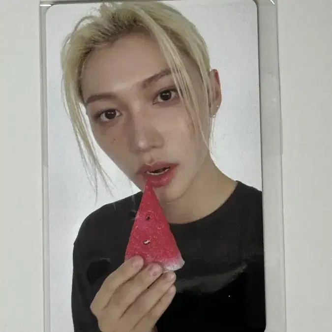 디스앤댓 팬즈샵 특전 필릭스 용복이 수박포카