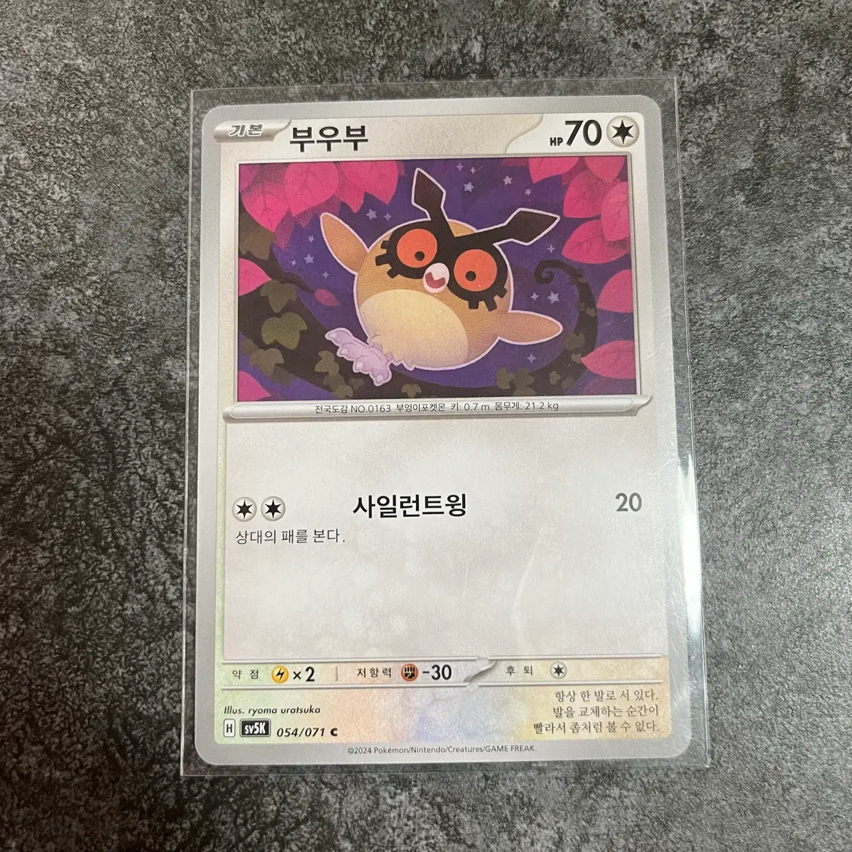 포켓몬카드 부우부 c