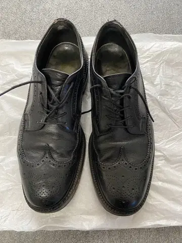 French Shriner 윙 칩 super8shoes 가죽 신발