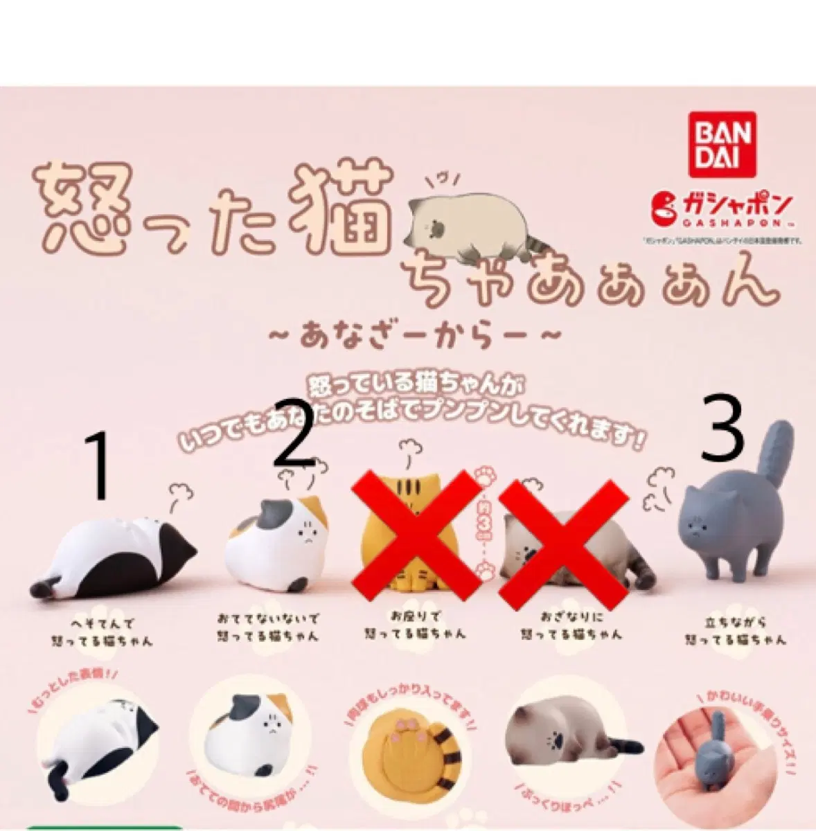 미개봉)화난 고양이 가챠