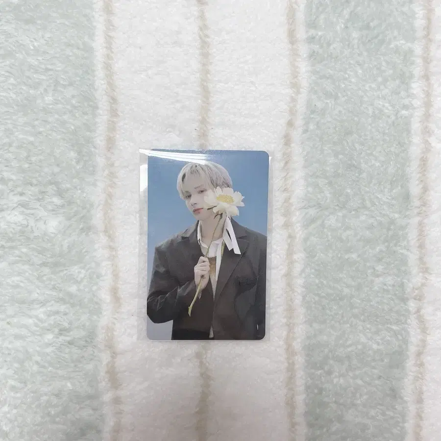 (덤O) 세츠나하나비 투바투 특전 휴닝카이