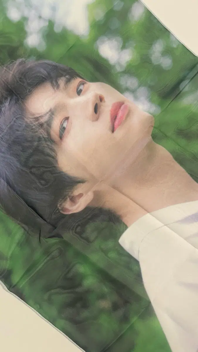 남우현 쉬폰 커튼