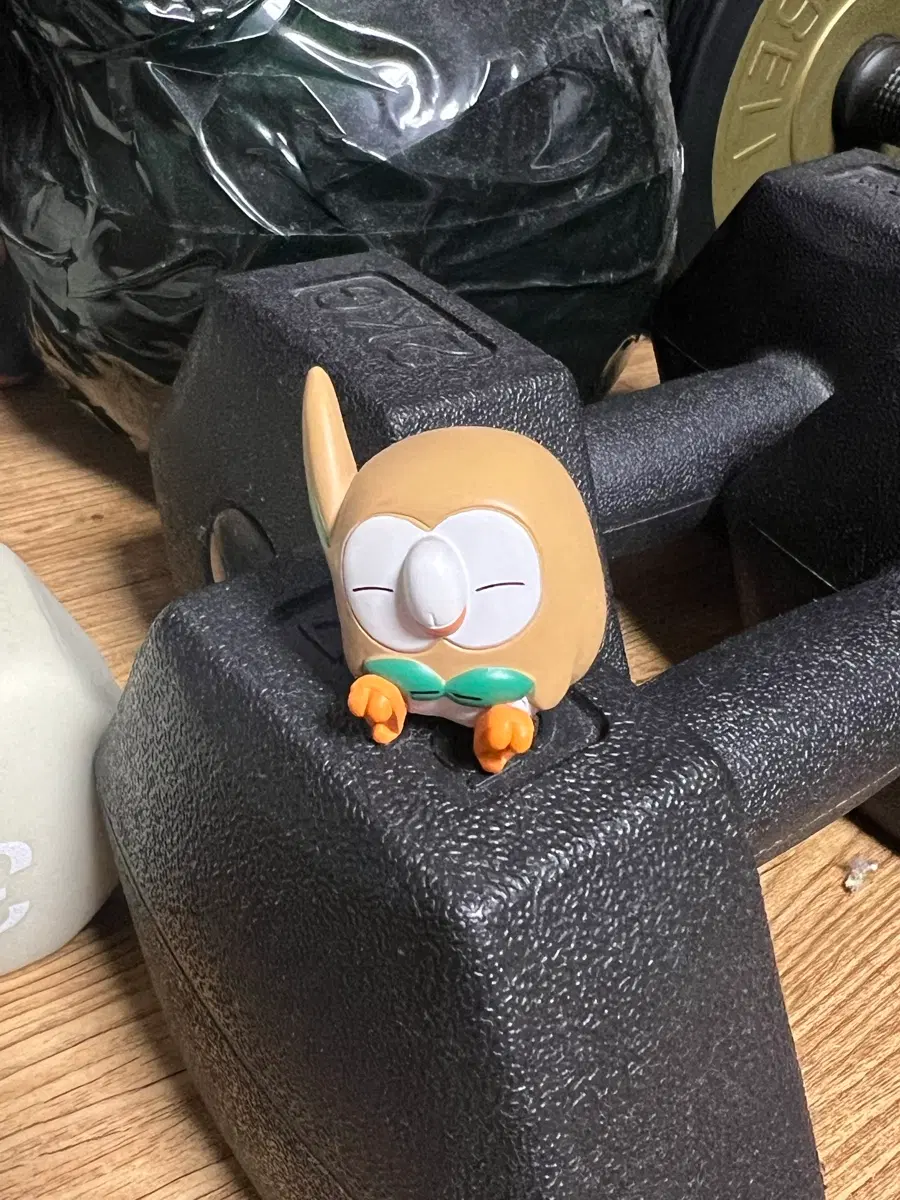 포켓몬 나몰빼미 꾸벅 가챠
