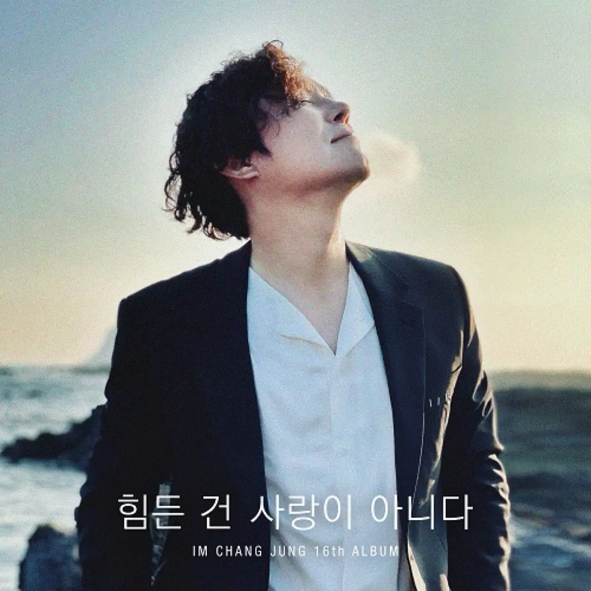 임창정 16집 힘든 건 사랑이 아니다 앨범 시디 CD