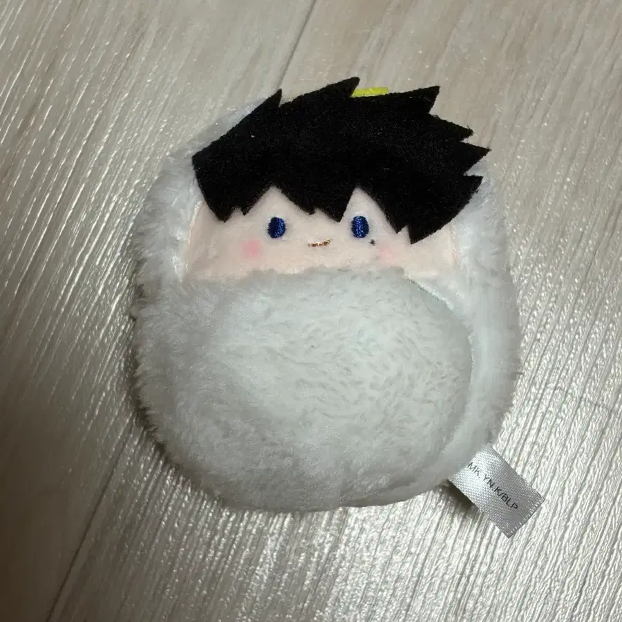 블루록 카라스 천사 타피누이