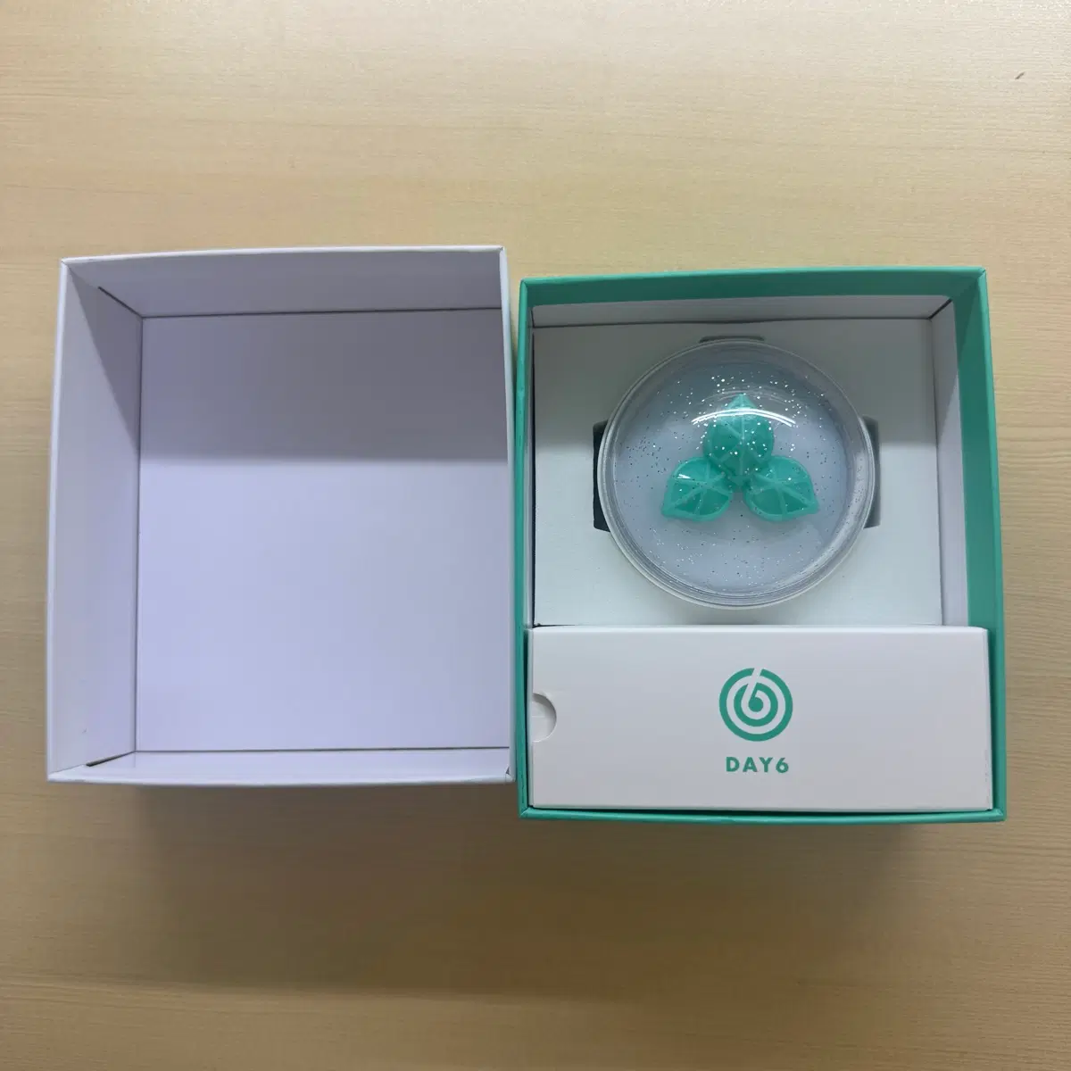 데이식스 Day6 마데워치 light band ver 3