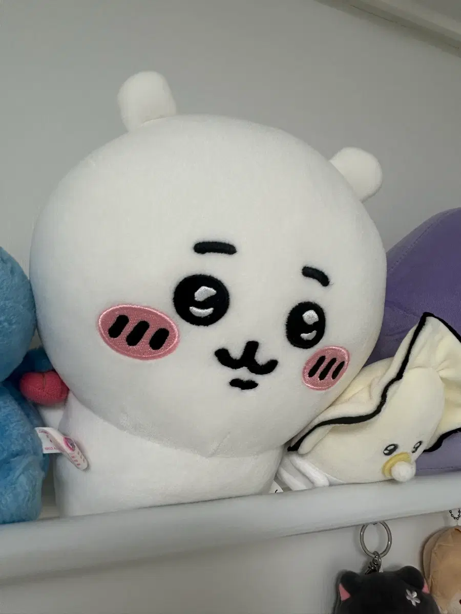 치이카와 인형 세트