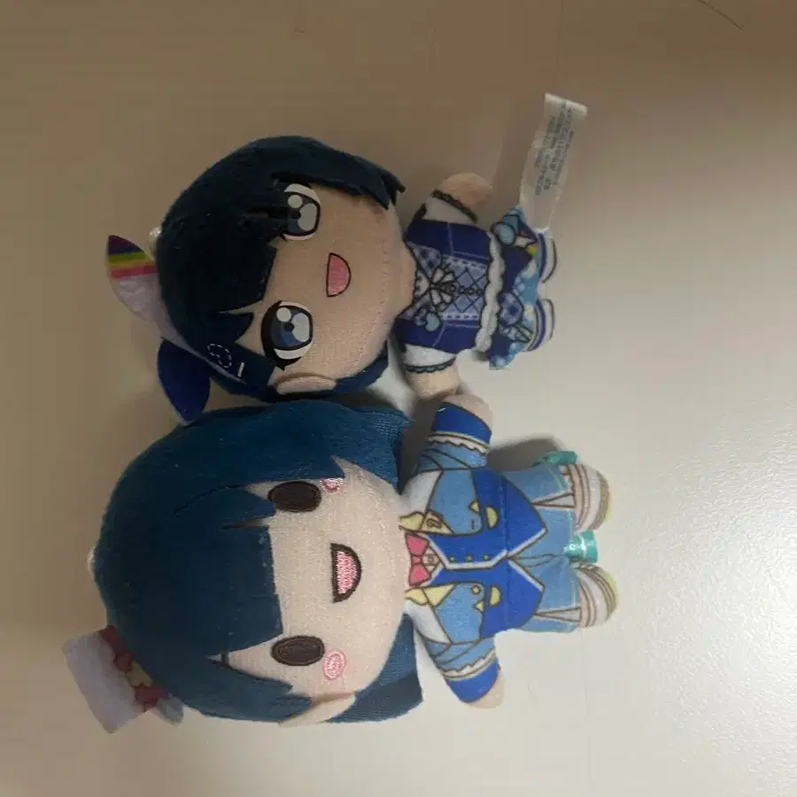 프로세카 산리오 누이