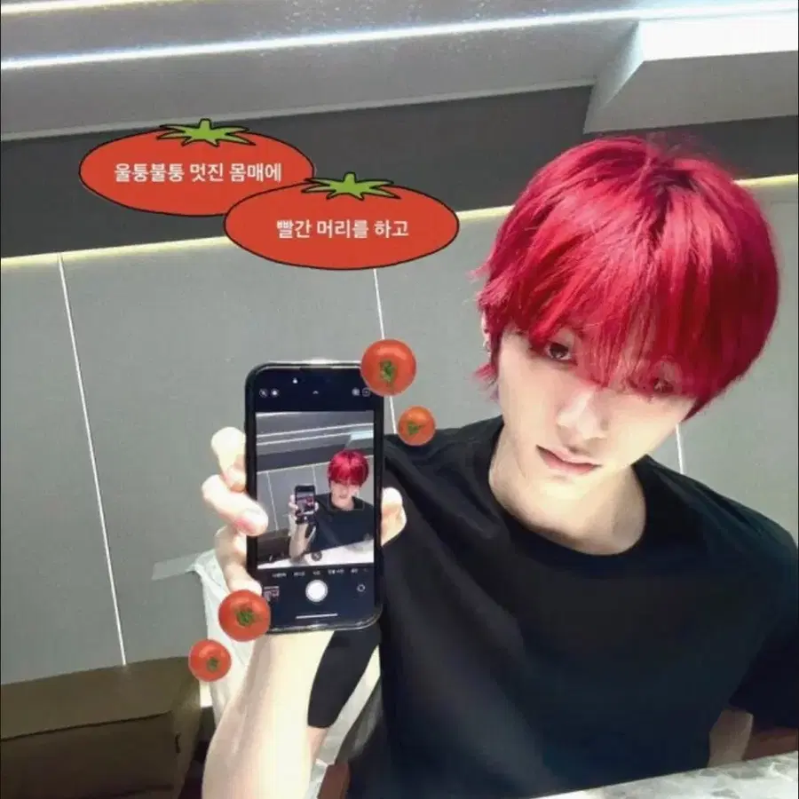 태마태