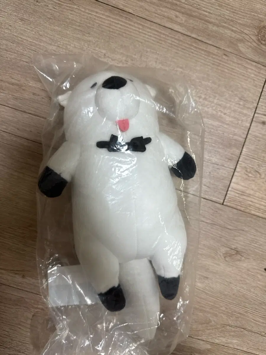 스파이패밀리 제일복권 d상 본드 인형