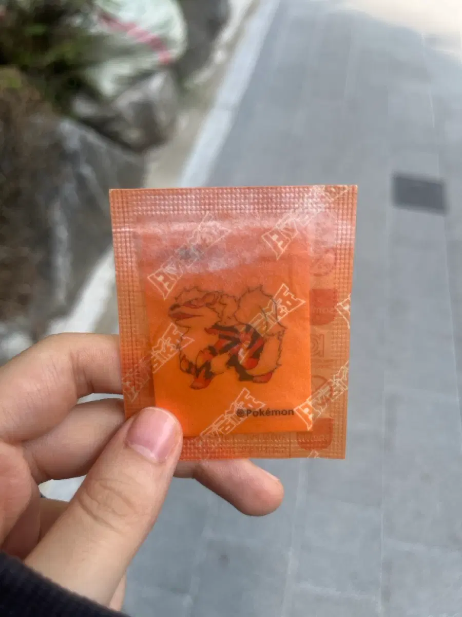 30주년 윈디 띠부씰