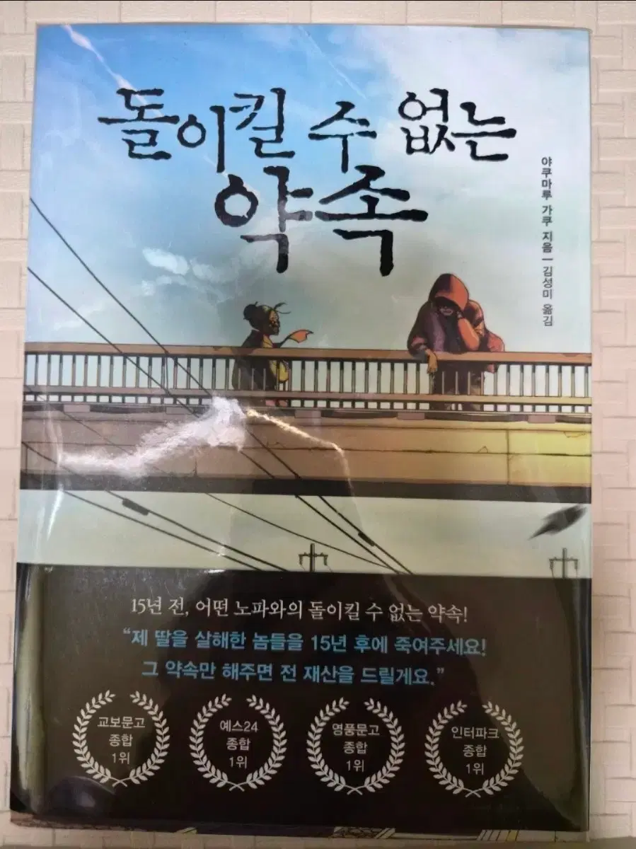 돌이킬 수 없는 약속 소설 책