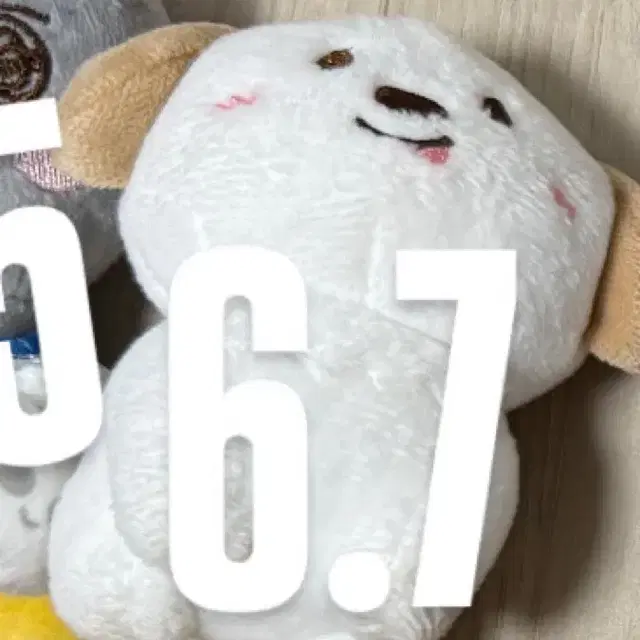 1기 멍룡이 판매