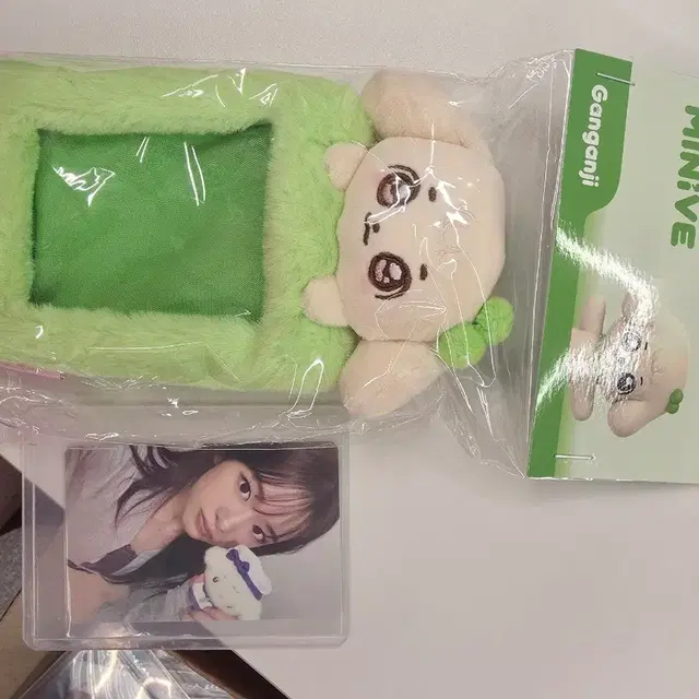 미니브포토카드홀더 강안지