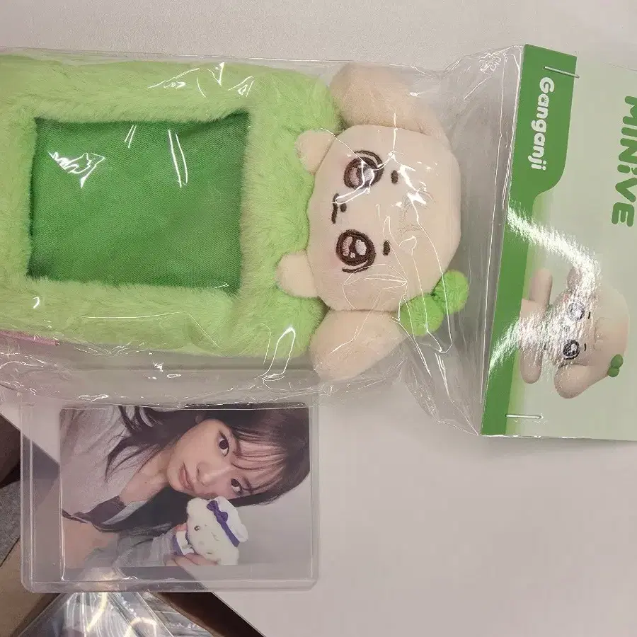 미니브포토카드홀더 강안지