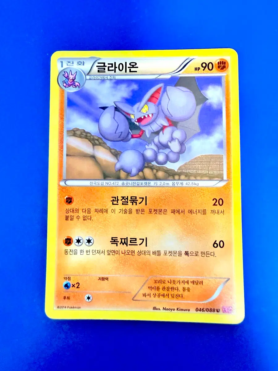 포켓몬카드 2014년 고대카드 XY 글라이온 카드
