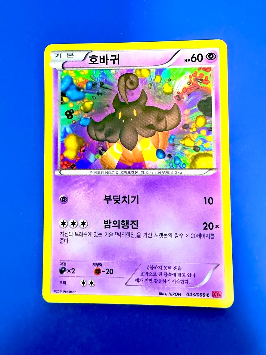 포켓몬카드 2014년 고대카드 XY 호바귀 카드