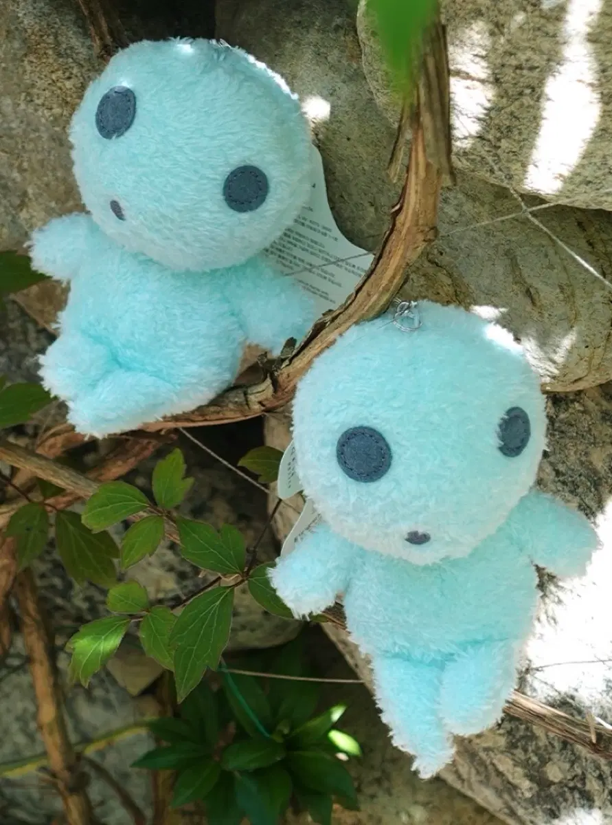 지브리 제주 민트 코다마 사요