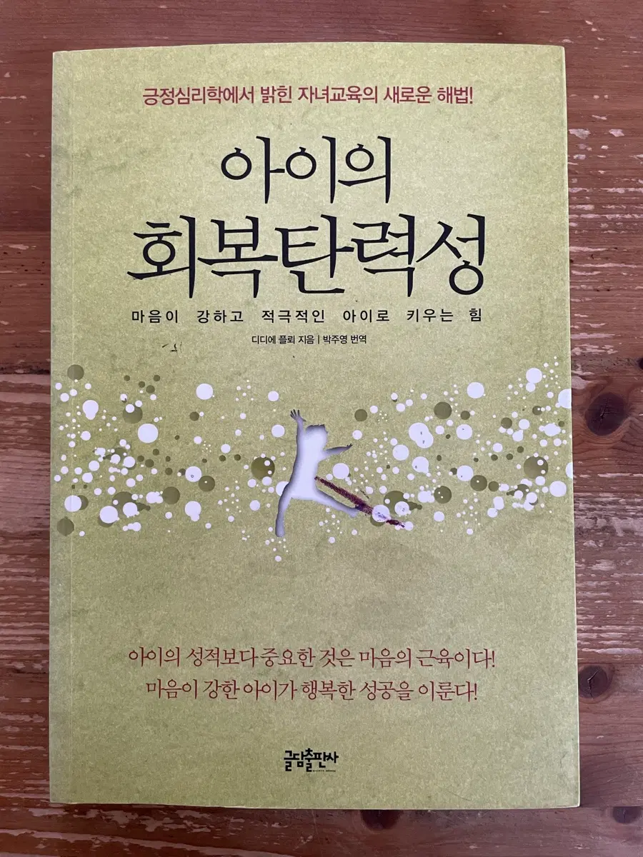 아이의 회복탄력성 - 디디에 플뢰
