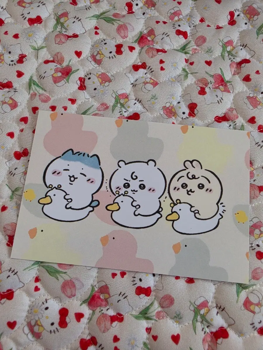 먼작귀 오리튜브 엽서