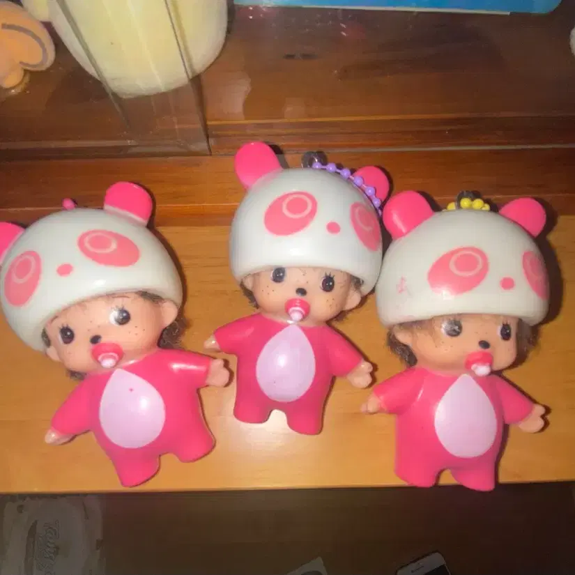 몬치치 3마리 입양하실 분