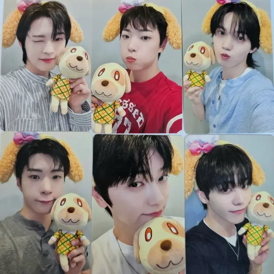 온앤오프 260816 점프업 대면(카라멜ver.미공포)