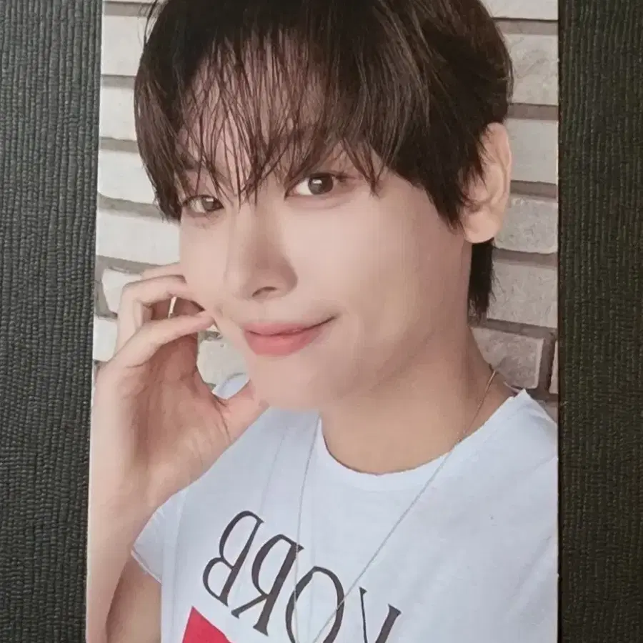 SF9 인성 포카