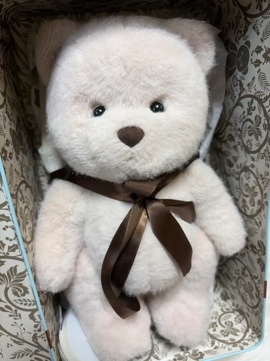 급처) 레나베어 30cm 장모 인형+옷