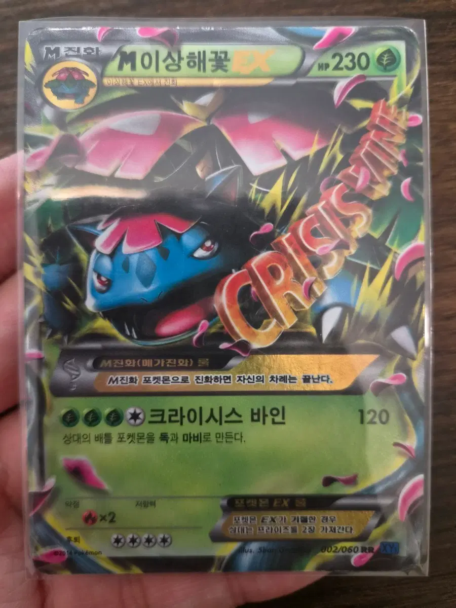 포켓몬카드 xy m이상해꽃 EX rr 카드