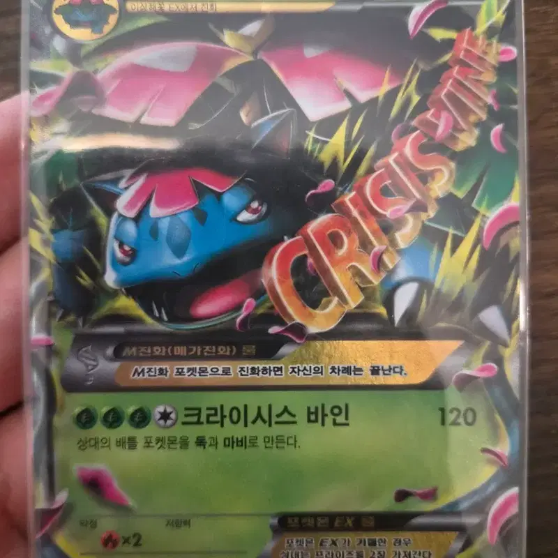 포켓몬카드 xy m이상해꽃 EX rr 카드