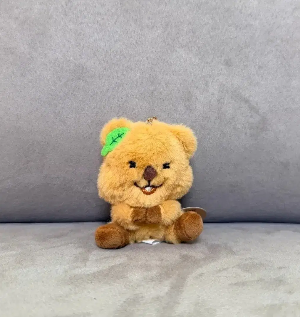 잎사귀 쿼카 베베 키링 인형