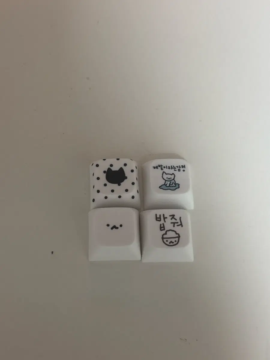 고양이 키캡
