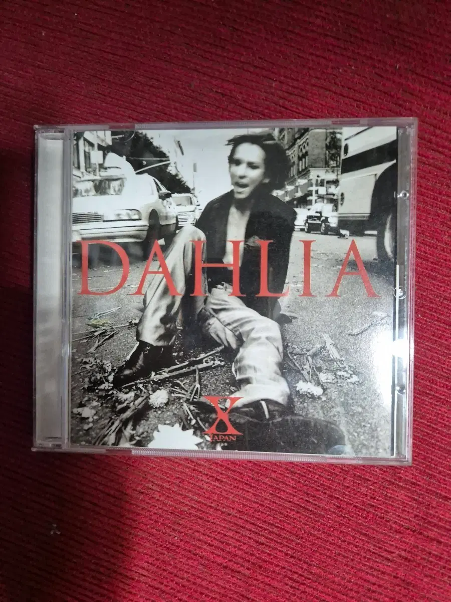 엑스제팬 DAHLIA 대만반