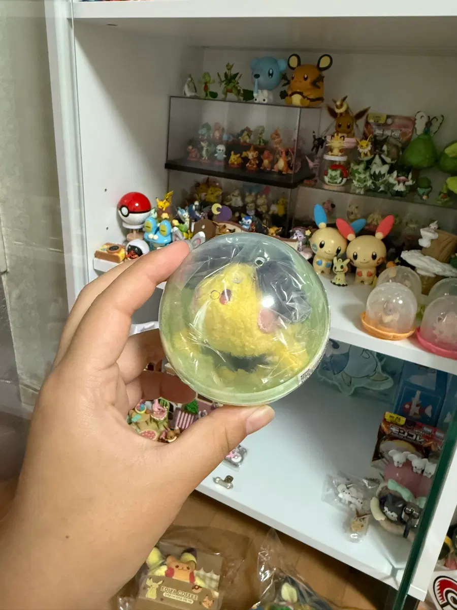 포켓몬 찰싹 가챠 피츄, 라이츄