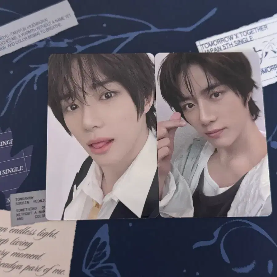 세츠나하나비 포토카드버전 포카 범규