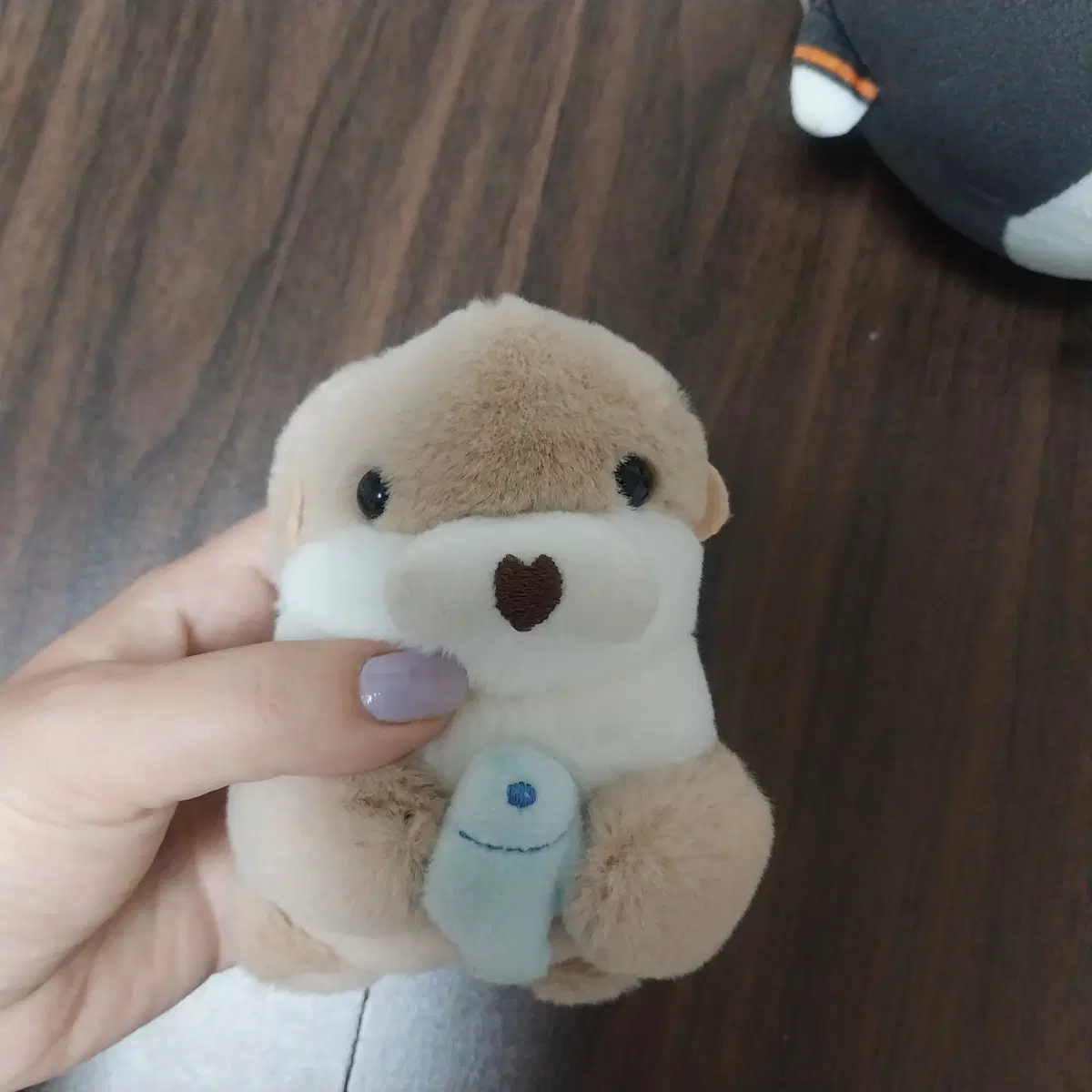 귀여운 수달 인형 물고기 포함