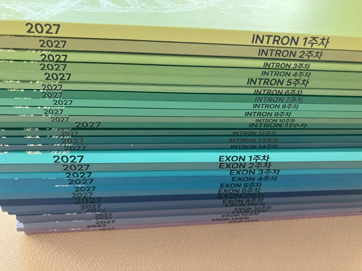 INTRON EXON 생명과학2