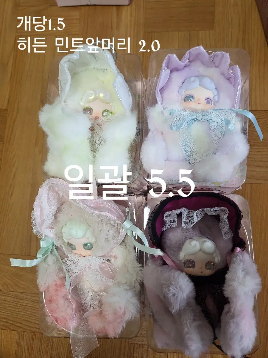 밤토티타임