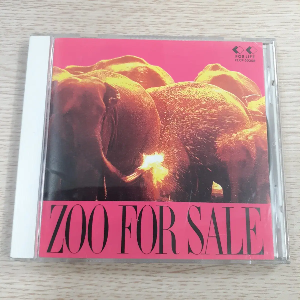 (K-POP 댄스의 교과서) 일본그룹 ZOO 베스트 앨범 CD FOR SALE 통상반