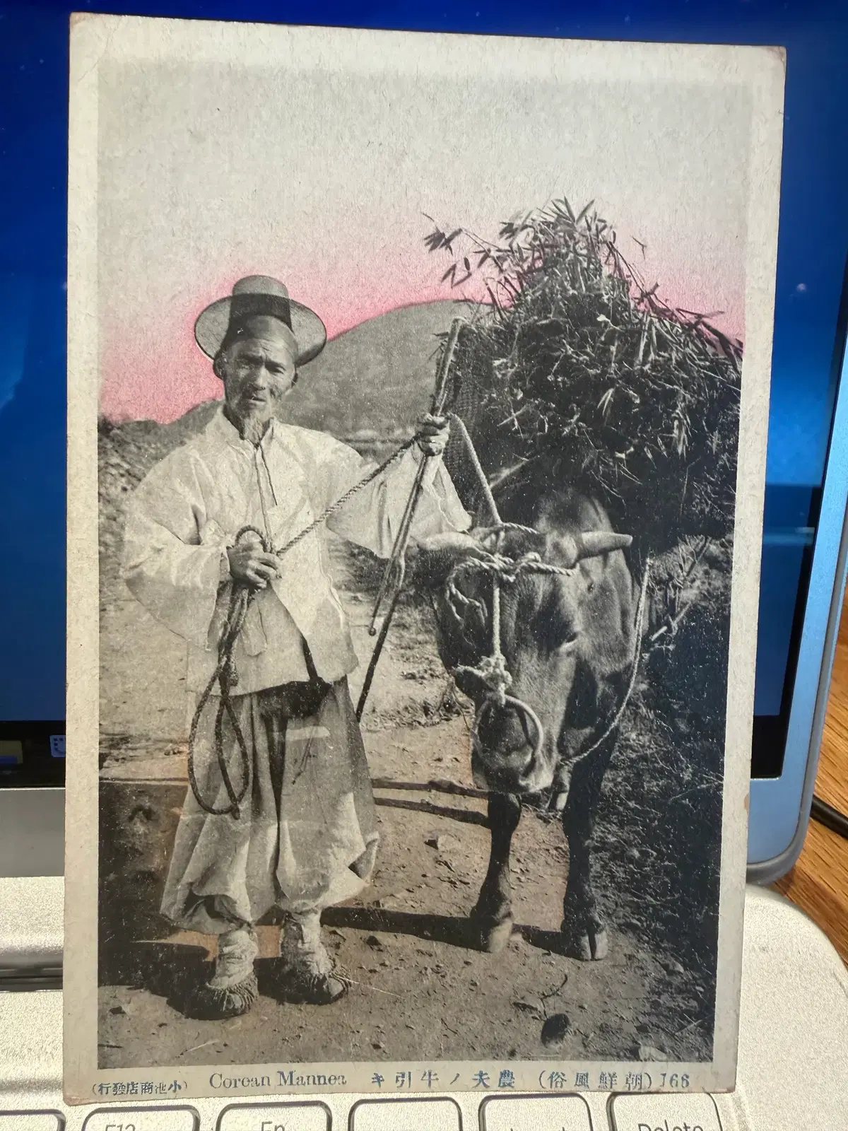 1910년 - 조선 농촌 - 소를 끄는 농부 - 고이케 상점 발행