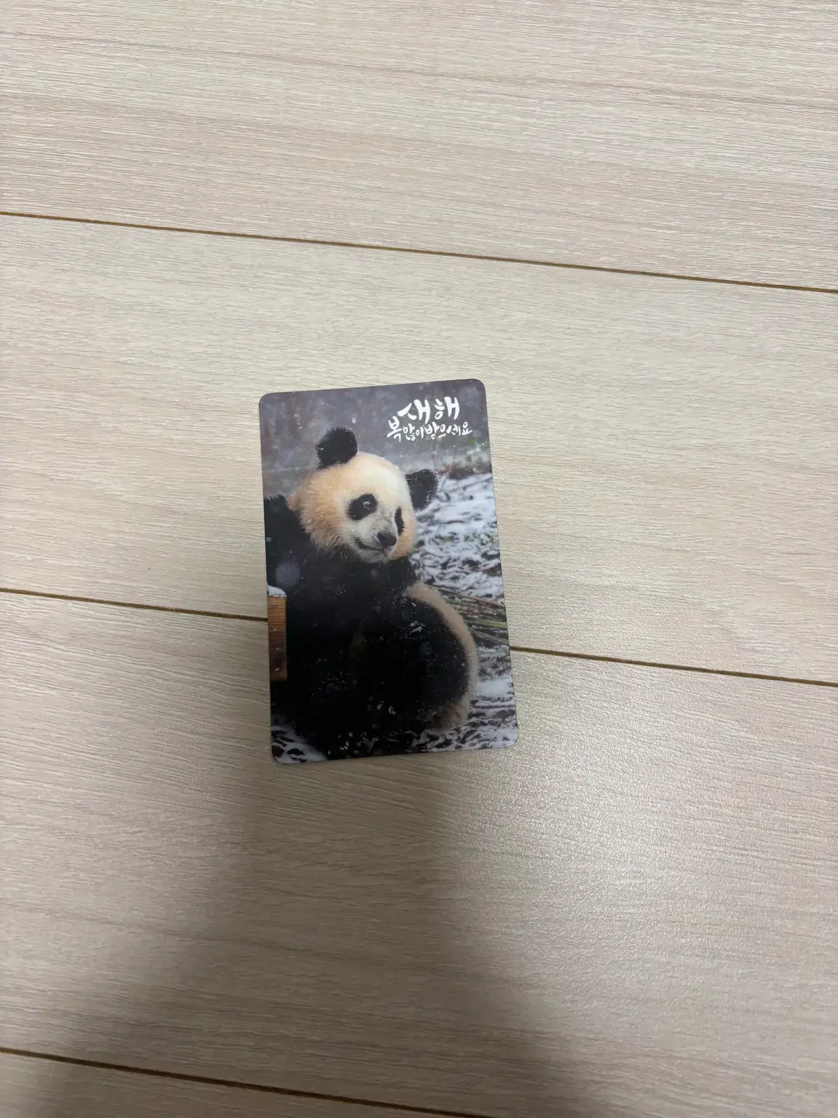 루이바오 포카